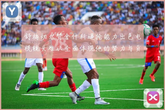 舒梅切尔赞舍什科逼抢能力出色电视镜头难以全面体现他的努力与贡献