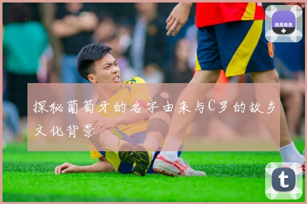 探秘葡萄牙的名字由来与C罗的故乡文化背景