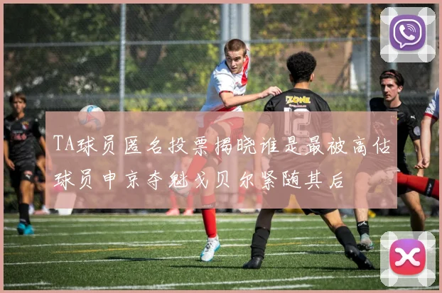 TA球员匿名投票揭晓谁是最被高估球员申京夺魁戈贝尔紧随其后