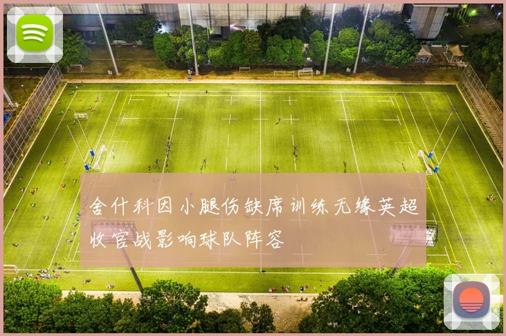 舍什科因小腿伤缺席训练无缘英超收官战影响球队阵容