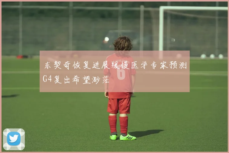 东契奇恢复进展缓慢医学专家预测G4复出希望渺茫